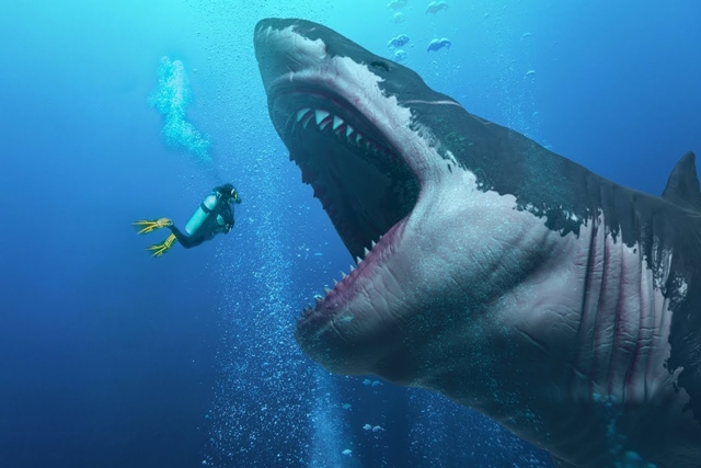 Supernova 2,6 juta Tahun Lalu Picu Kepunahan Hiu Besar Megalodon